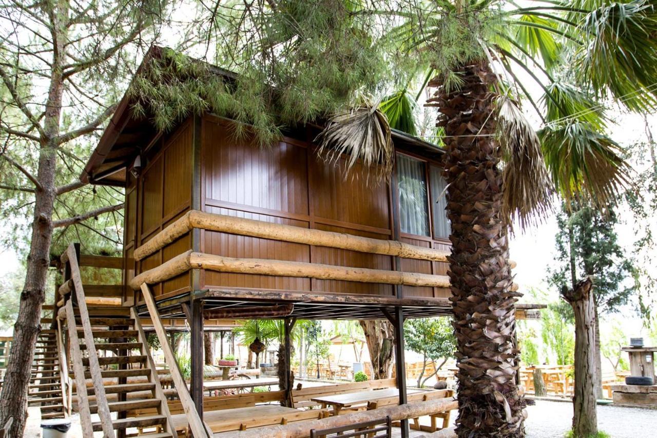 Hotel Iznik Askania Extérieur photo